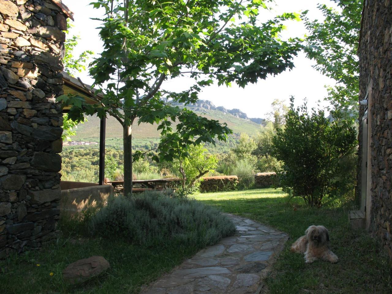 Вилла Quinta De Luna Валенсия-де-Алькантар Экстерьер фото